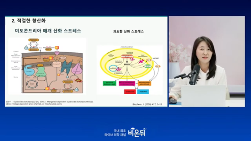 [의학채널 '비온뒤' 서은경 교수 출연] 살 빼는 것보다 중요한 건 '유지하는 것'-건강하게 체중 감량하는 법 사진 5